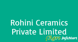 Rohini Ceramics Private Limited delhi india