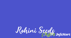 Rohini Seeds bangalore india