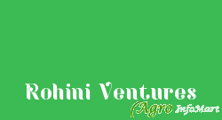 Rohini Ventures