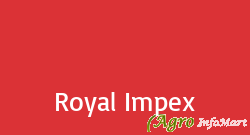 Royal Impex surat india