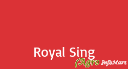 Royal Sing junagadh india