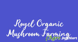 Royel Organic Mushroom Farming
