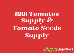 RRR Tomatos Supply & Tomato Seeds Supply