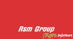Rsm Group delhi india