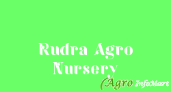 Rudra Agro Nursery pune india