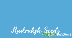 Rudraksh Seeds