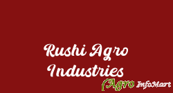 Rushi Agro Industries vadodara india
