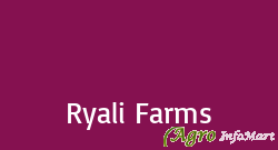 Ryali Farms rajahmundry india