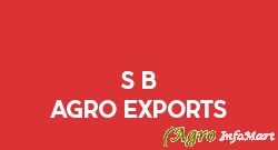 S B AGRO EXPORTS