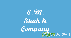 S. M. Shah & Company mumbai india