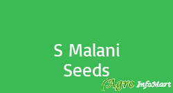 S Malani Seeds ahmedabad india