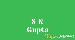S R Gupta