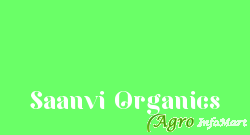 Saanvi Organics ahmedabad india