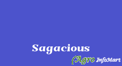 Sagacious nagpur india