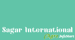 Sagar International