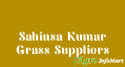 Sahinsa Kumar Grass Suppliers