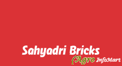 Sahyadri Bricks nashik india