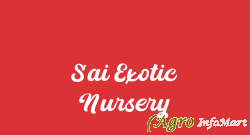 Sai Exotic Nursery