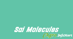 Sai Molecules ahmedabad india