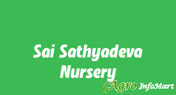 Sai Sathyadeva Nursery chittoor india