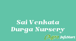 Sai Venkata Durga Nursery rajahmundry india