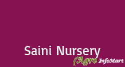 Saini Nursery