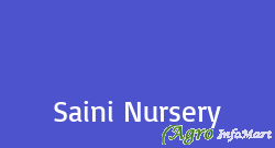 Saini Nursery
