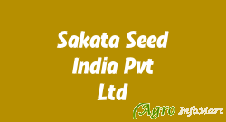 Sakata Seed India Pvt Ltd bangalore india