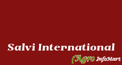 Salvi International ahmedabad india
