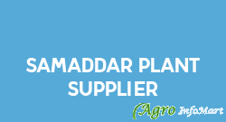 Samaddar plant supplier