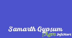 Samarth Gypsum pune india