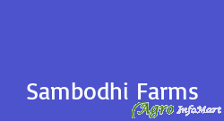 Sambodhi Farms nashik india