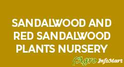 Sandalwood And Red Sandalwood Plants Nursery