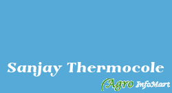Sanjay Thermocole
