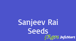 Sanjeev Rai Seeds