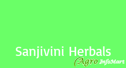 Sanjivini Herbals salem india