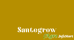 Santegrow