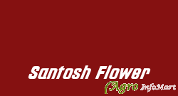 Santosh Flower bangalore india