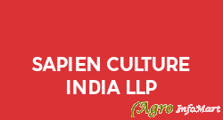 Sapien Culture India LLP pune india