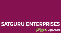 Satguru Enterprises