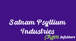 Satnam Psyllium Industries mehsana india