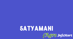 Satyamani delhi india