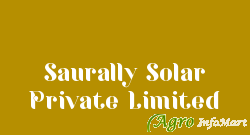 Saurally Solar Private Limited