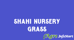 Shahi Nursery Grass