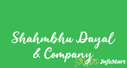 Shahmbhu Dayal & Company delhi india