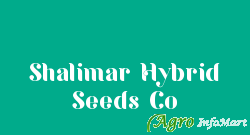 Shalimar Hybrid Seeds Co hyderabad india