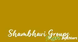 Shambhavi Groups