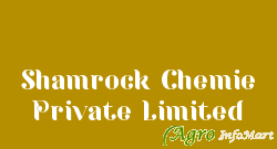 Shamrock Chemie Private Limited