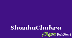 ShankuChakra chennai india