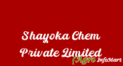 Shayoka Chem Private Limited mumbai india